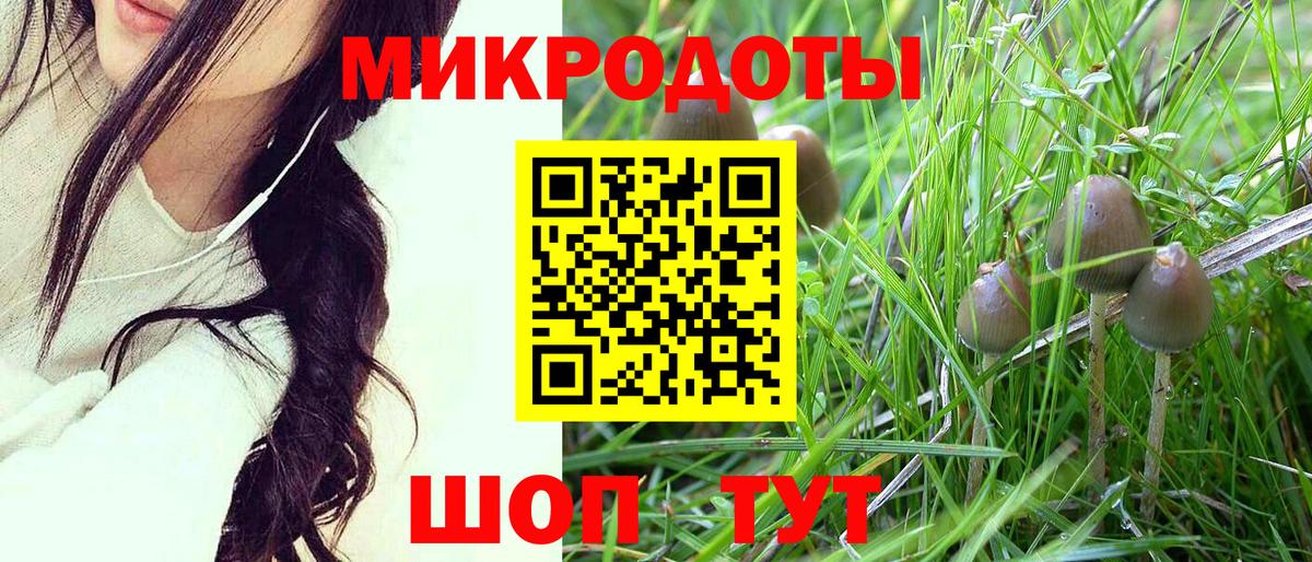 продажа наркотиков  Вход с VPN  Анапа  Псилоцибиновые грибы Magic Shrooms 