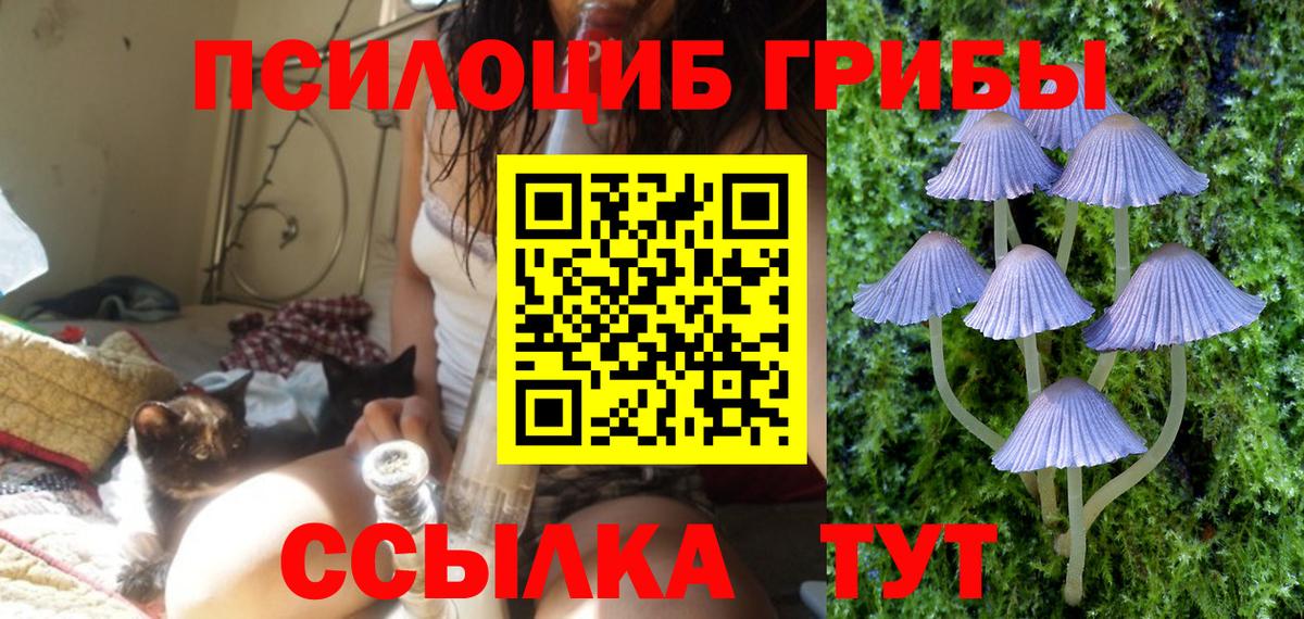 Галлюциногенные грибы прущие грибы Анапа
